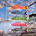 Miniatyrbild 3 av 5: 6st japanska karpformade streamerflaggor