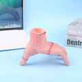 Miniatyrbillede 3 af 8: Thing Hand Prop Fra onsdag Addams Family Desk Pen Holder Fi one size one size