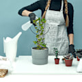 Miniatyrbilde 1 av 6: Menneskeformet klatrestøtteramme for planter