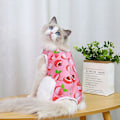 Miniatyrbild 1 av 3: Cat Recovery Suit Cat Sterilization Kläder Andningshalsband B M