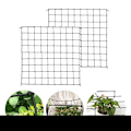 Miniatyrbild 2 av 5: Hydroponic Grow Room Scrog Net Tält Växtstödsnät 120*240cm