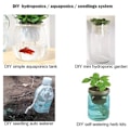 Miniatyrbilde 4 av 6: 9 meter Bomullsfrøplante Irrigasjonsrep (4 mm) for Automatisk Vanningssystem