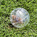Miniatyrbild 5 av 5: Hamsterboll, löpande hamsterhjul Liten husdjurssöt träningsboll
