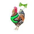 Miniatyrbild 1 av 5: Justerbar kycklingsele Bekväm hönsväst Andas Green M