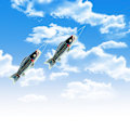 Miniatyrbild 3 av 5: 1 st Fish Windsock Carp Windsock Fish Flag black