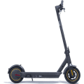 Miniatyrbild 1 av 10: 2024 Ninebot by Segway KickScooter MAX G30P - 65km - 30km/h grå
