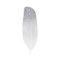 Miniatyrbild 2 av 2: 6 silver glitter feathers Silver