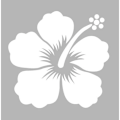 Miniatyrbild 1 av 2: Stencil 8 x 8 cm - Hibiscus - DTM