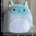 Pikkukuva 2 / 2: Xbi - Squishmallow Pehmolelu Eläin Tyyny Yksisarvinen Pöllö Elefantti 20cm cat
