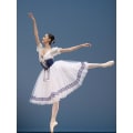 Miniatyrbillede 2 af 5: Professionel pige ballet tutu kjole Giselle Adulto kvinder mesh nederdel korte puf ærmer børn dans gymnastik leotard kostumer høj kvalitet -a XS