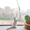 Miniatyrbild 2 av 11: Mub- Hängande dörr katt leksak sugkopp retas katt leksak kattunge själv-hi lättnad Blue (1.m8)