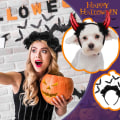 Miniatyrbillede 4 af 5: 6 stk Halloween pandebånd Djævel Horn Pandebånd Spindel Pandebånd Hexe