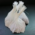 Miniatyrbillede 2 af 5: 100-pak papiretiketter / prisskilte med snor Hvid 2,4 x 1,4 cm 2.4 x 1.4 cm
