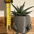 Miniatyrbild 2 av 6: Leende växtkruka - bedårande blomkruka med lekfullt långfingerdesign - unik planter för suckulenter - rymmer små växter Gray