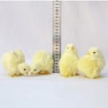 Miniatyrbillede 3 af 5: Påskekyllinger blødt legetøj, 4 stk. Simulation plys kylling påske dekorationer vind op