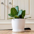 Miniatyrbild 3 av 7: Vita trädgårdsprydnader vita krukor med fat – Blomkrukor utomhus med matt yta och växtbricka – Krukor med fat White 20cm*17.5cm*14cm
