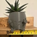 Miniatyrbillede 6 af 6: Smilende plantepotte - sød blomsterpotte med legende middelfingerdesign - unik planteholder til sukkulenter - rummer små planter Gray