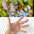 Miniatyrbillede 3 af 8: Fuglenet 4x10m Anti Fuglenet Have Plante Netting Ært Frugt Net Dam Mesh til Have Gård Vingård Dam Hegn 400×1000cm