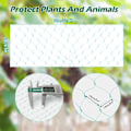 Miniatyrbillede 2 af 5: 2x10m Have Netting Grøn, Fuglenet Dam Plante Netting til Beskyttelse af Frugter Træ Grøntsager Blomster Afgrøder Jordbær Ært og Bønne 200×1000cm