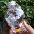 Pikkukuva 4 / 8: Waterer Self Watering Globes Self Watering Spikes Indoor & Ou B