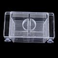 Miniatyrbilde 7 av 8: Akvarium Fiskeoppdrett Guppy Dobbel Avl Oppdretter Rearing Felle B