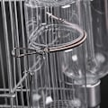 Miniatyrbilde 5 av 6: Kjæledyrhamsterdrikker Nippelflaskedispenser Hengende Automatisk