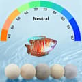 Miniatyrbilde 4 av 8: 100-500g Fisketank Filterkuler Akvarium Biofiltermedier Akvar A2