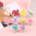 Pikkukuva 2 / 5: Nukkekoti miniatyyri Little Star Flower Model Lasipullo Simul A6