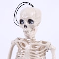 Miniatyrbilde 5 av 6: Poserbart skjelett Halloween-dekor  Man Bone Creepy Party Decorat