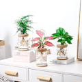 Miniatyrbild 2 av 8: Lat transparent blomkruka hydroponisk automatisk vattenabsorptio A