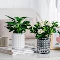 Miniatyrbillede 2 af 8: Mini selvvanding blomsterpot i plast Gray