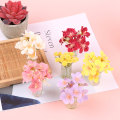 Pikkukuva 5 / 5: Nukkekoti miniatyyri Little Star Flower Model Lasipullo Simul A6