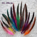 Miniatyrbillede 3 af 8: 50 Stk Parti Naturlig Farve Hanefjer 6-8 Tommer Fasan Chic Red