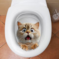 Pikkukuva 3 / 8: Vedenkestävä wc-kannen tarra Uutuus Creative Funny Toile A8
