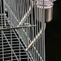 Miniatyrbilde 6 av 6: Kjæledyrhamsterdrikker Nippelflaskedispenser Hengende Automatisk
