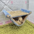 Pikkukuva 3 / 5: Hamster Hanging House häkki nukkumispesä Lemmikkisänky Rotan Hamsteri Gu Blue 20*14*10cm