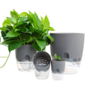 Miniatyrbilde 4 av 5: Gjennomsiktig dobbeltlags blomsterpotte i plast selvvanning S