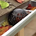 Miniatyrbild 3 av 6: Lövbladsskydd Utomhus Fallrörssil, Lätt att installera Svart