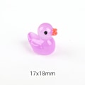 Miniatyrbilde 4 av 6: 5 STK lysende andung Microlandscape saftig DIY dekorativ