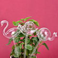 Pikkukuva 4 / 8: 1 kpl Glass Flowers Water Feeder Self Watering Bird Design Wate Bird