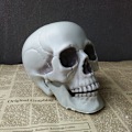 Miniatyrbillede 7 af 8: Halloween Kunstig Kranie Hoved Model Kranie Knogle Horror Skelet D 5*6*8cm