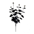 Miniatyrbilde 5 av 8: 34cm sorte eukalyptus kunstige blomster til romdekorasjon De
