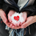 Miniatyrbillede 7 af 7: Instant Snow  Snepulver - Lav 6-8 Galloner Kunstig Sne White