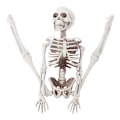 Miniatyrbilde 2 av 8: 40cm Halloween Tricky Props Horror Skeleton Skeleton Scene Deco