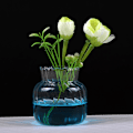 Miniatyrbillede 3 af 5: Gennemsigtige glasvaser til flaskeblomsterpotte Nordic Creative C