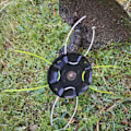 Miniatyrbilde 7 av 8: Stål gressklipperhode Gratis 4 linjer erstatning bensin/litium Fit Lithium Mower