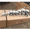 Miniatyrbillede 1 af 8: Halloween Kunstig Kranie Hoved Model Kranie Knogle Horror Skelet G 1.5*2*2.5cm