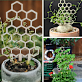 Miniatyrbillede 4 af 5: Trellis for Potted s Trellis Indendørs træ honeycomb form