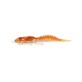 Pikkukuva 1 / 8: Supercontinent 5kpl Larva Soft Bait 5cm0.8g Kelluva makean veden Q
