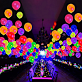 Miniatyrbillede 8 af 8: 10 stk. Neon Glow Balloner Genanvendelige Glow In The Dark Ballon Del 10PCS